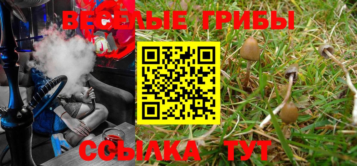 Псилоцибиновые грибы MAGIC MUSHROOMS  Вход с VPN  Партизанск 