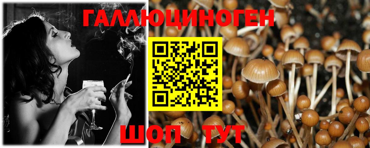 Псилоцибиновые грибы мухоморы Партизанск